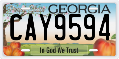 GA license plate CAY9594
