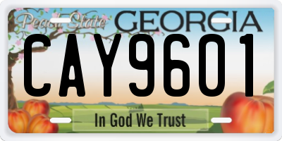 GA license plate CAY9601