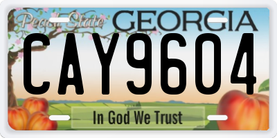 GA license plate CAY9604