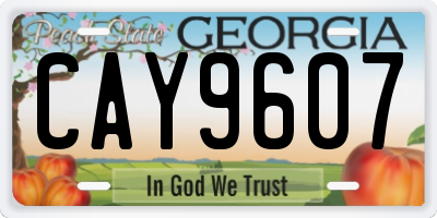 GA license plate CAY9607