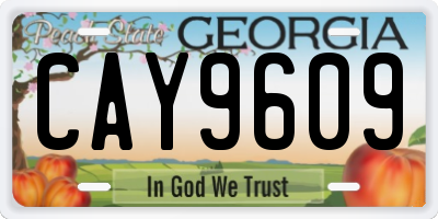 GA license plate CAY9609