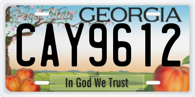 GA license plate CAY9612