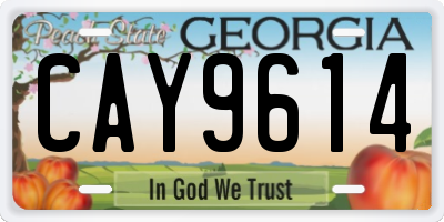 GA license plate CAY9614