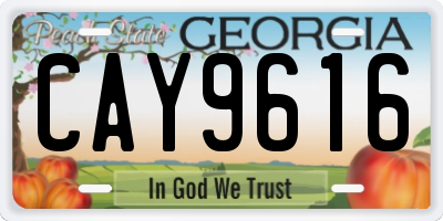 GA license plate CAY9616