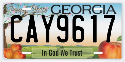 GA license plate CAY9617