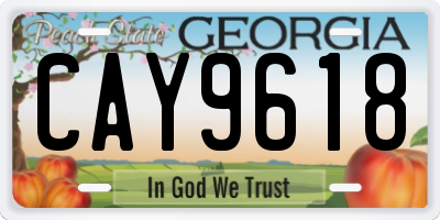 GA license plate CAY9618
