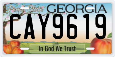 GA license plate CAY9619