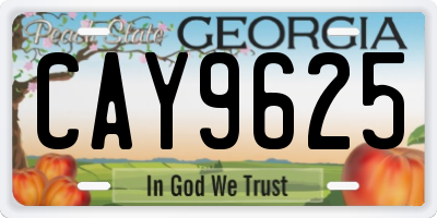GA license plate CAY9625