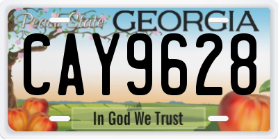 GA license plate CAY9628