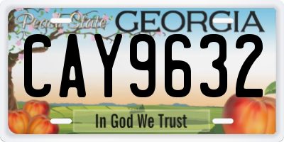 GA license plate CAY9632