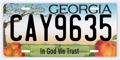 GA license plate CAY9635
