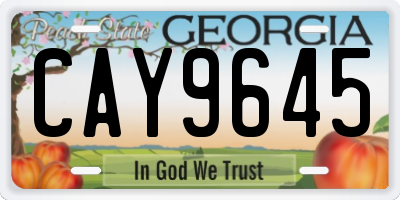 GA license plate CAY9645
