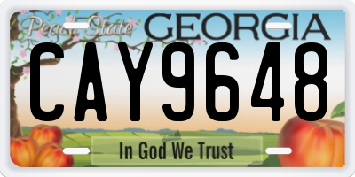 GA license plate CAY9648