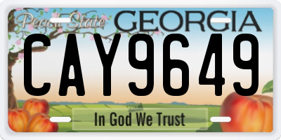 GA license plate CAY9649