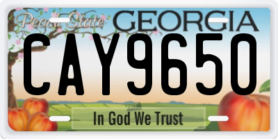 GA license plate CAY9650