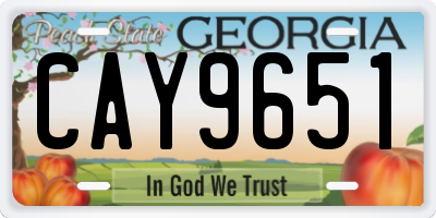 GA license plate CAY9651