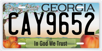 GA license plate CAY9652