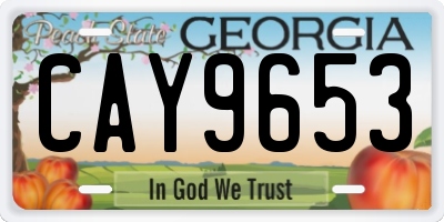 GA license plate CAY9653