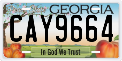 GA license plate CAY9664