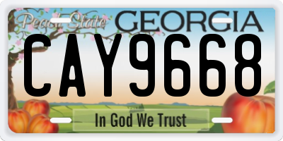 GA license plate CAY9668