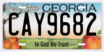 GA license plate CAY9682