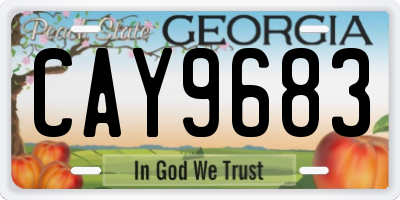GA license plate CAY9683
