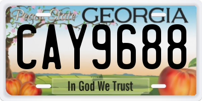 GA license plate CAY9688