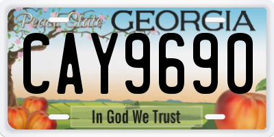 GA license plate CAY9690