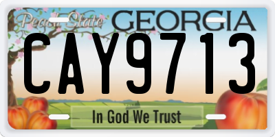 GA license plate CAY9713