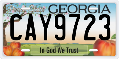 GA license plate CAY9723