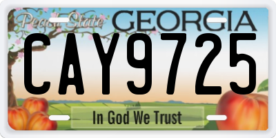 GA license plate CAY9725