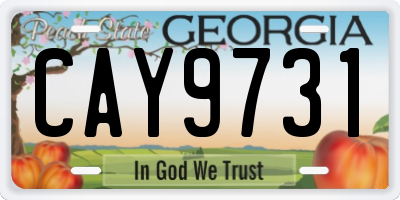 GA license plate CAY9731