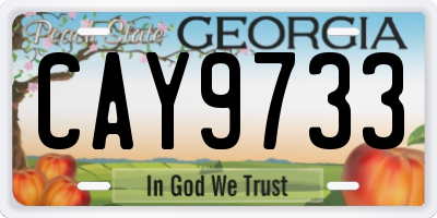 GA license plate CAY9733