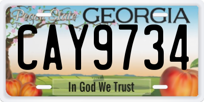 GA license plate CAY9734