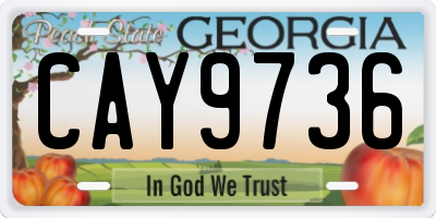 GA license plate CAY9736