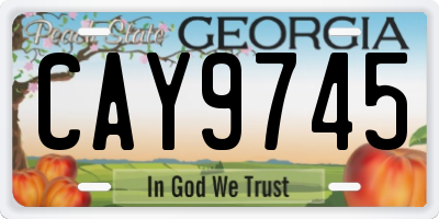 GA license plate CAY9745
