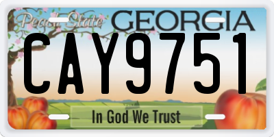 GA license plate CAY9751
