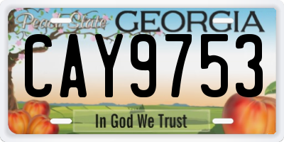 GA license plate CAY9753