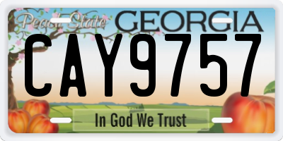 GA license plate CAY9757