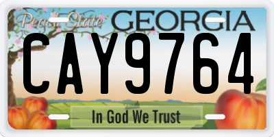 GA license plate CAY9764