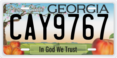 GA license plate CAY9767