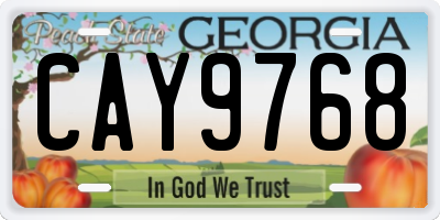 GA license plate CAY9768