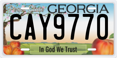 GA license plate CAY9770