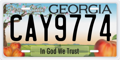 GA license plate CAY9774