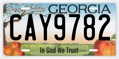 GA license plate CAY9782