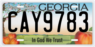 GA license plate CAY9783