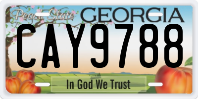 GA license plate CAY9788
