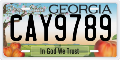 GA license plate CAY9789