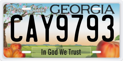 GA license plate CAY9793