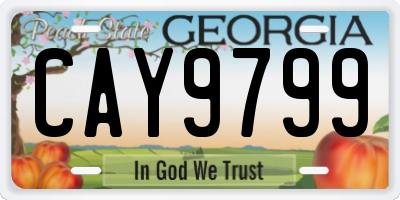 GA license plate CAY9799